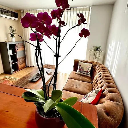 Wood Story - Modern 1Br Apt Near City Center With Parking Bukarest Exterior foto