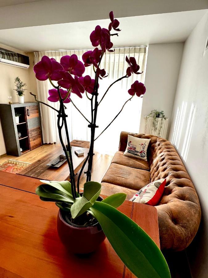 Wood Story - Modern 1br Near Center With Parking *