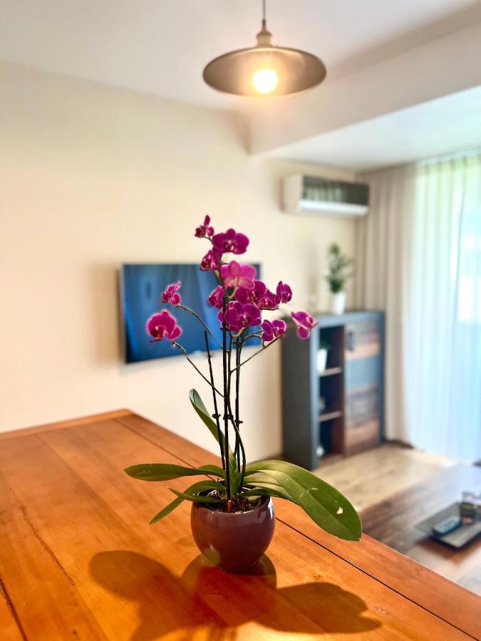 Wood Story - Modern 1br Near Center With Parking Apartamento
