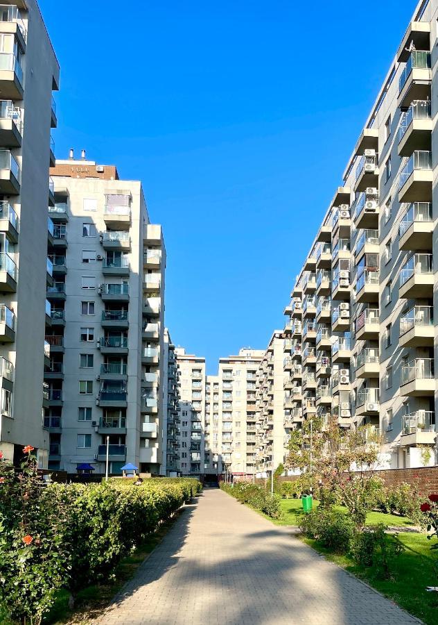 Wood Story - Modern 1br Near Center With Parking * Bukarest